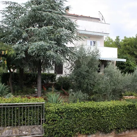 Family Viva Close To The Guest house *